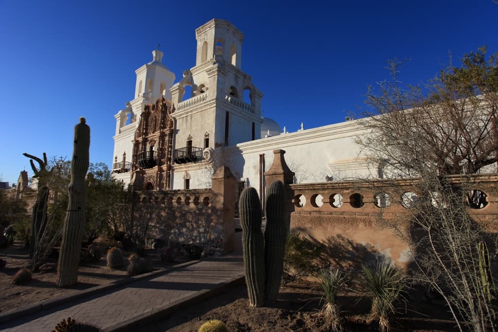 Cactus Garden