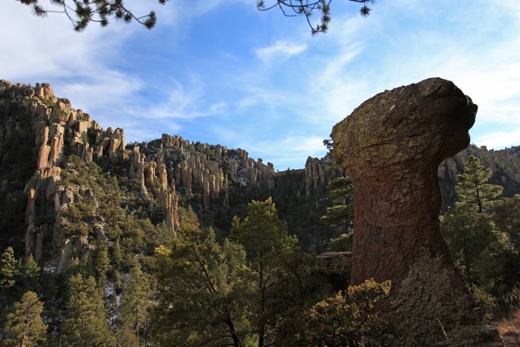Chiricahua