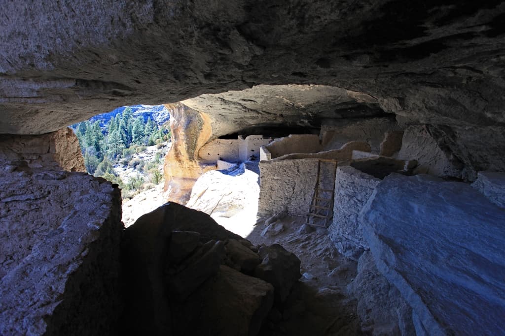 The Main Chamber