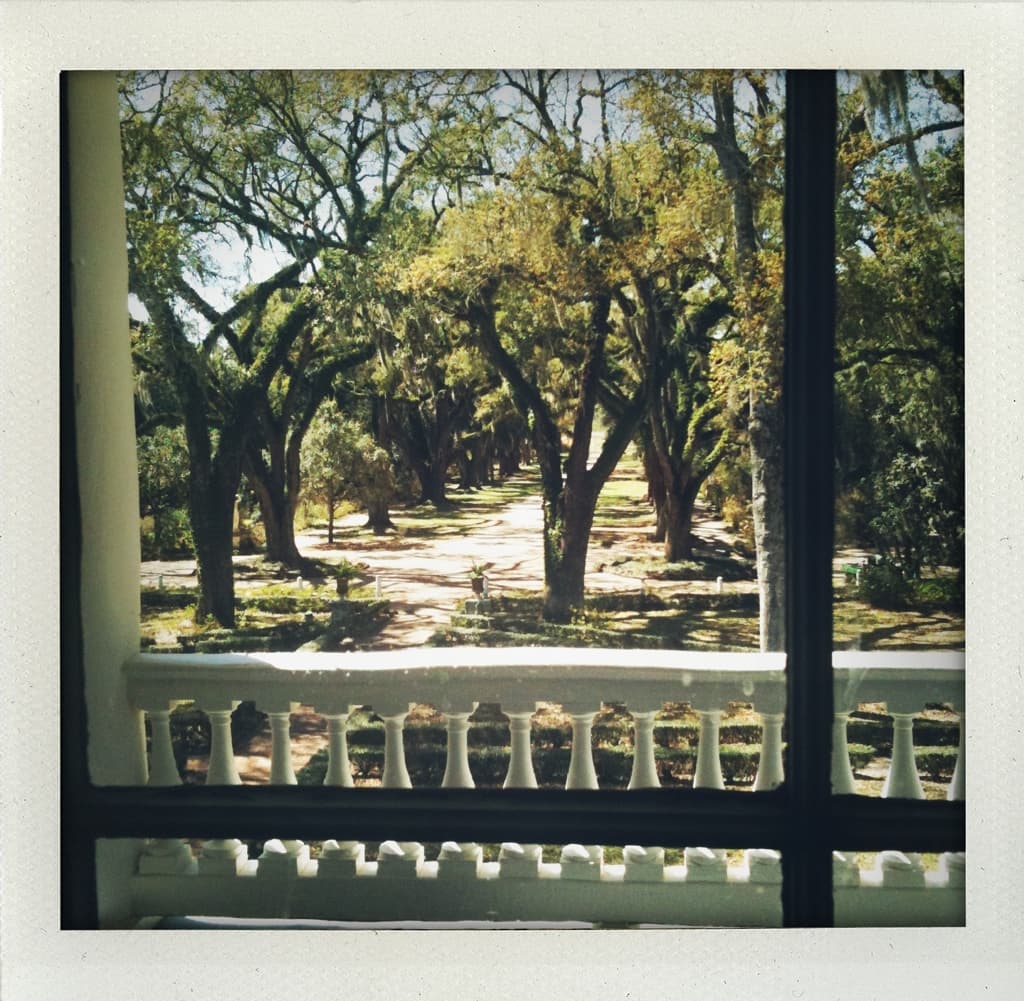 Window View