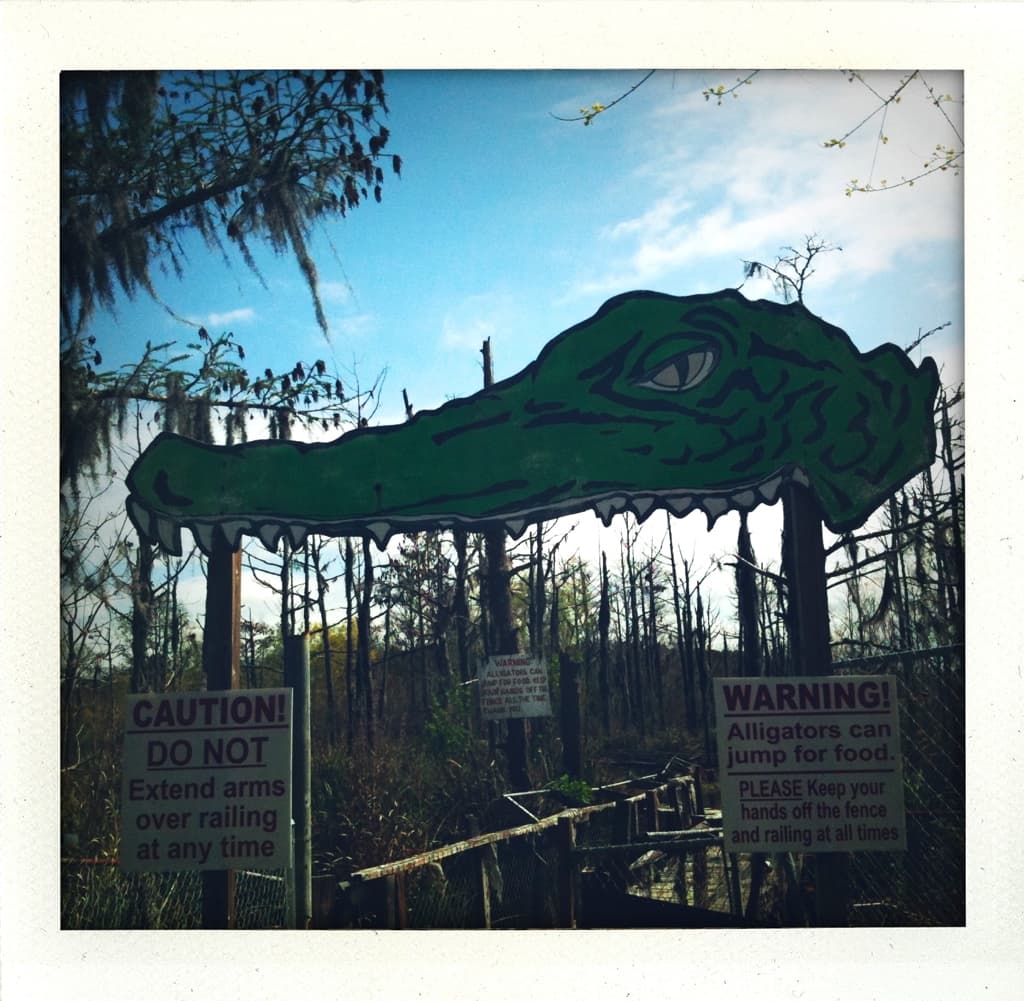 Gator Farm