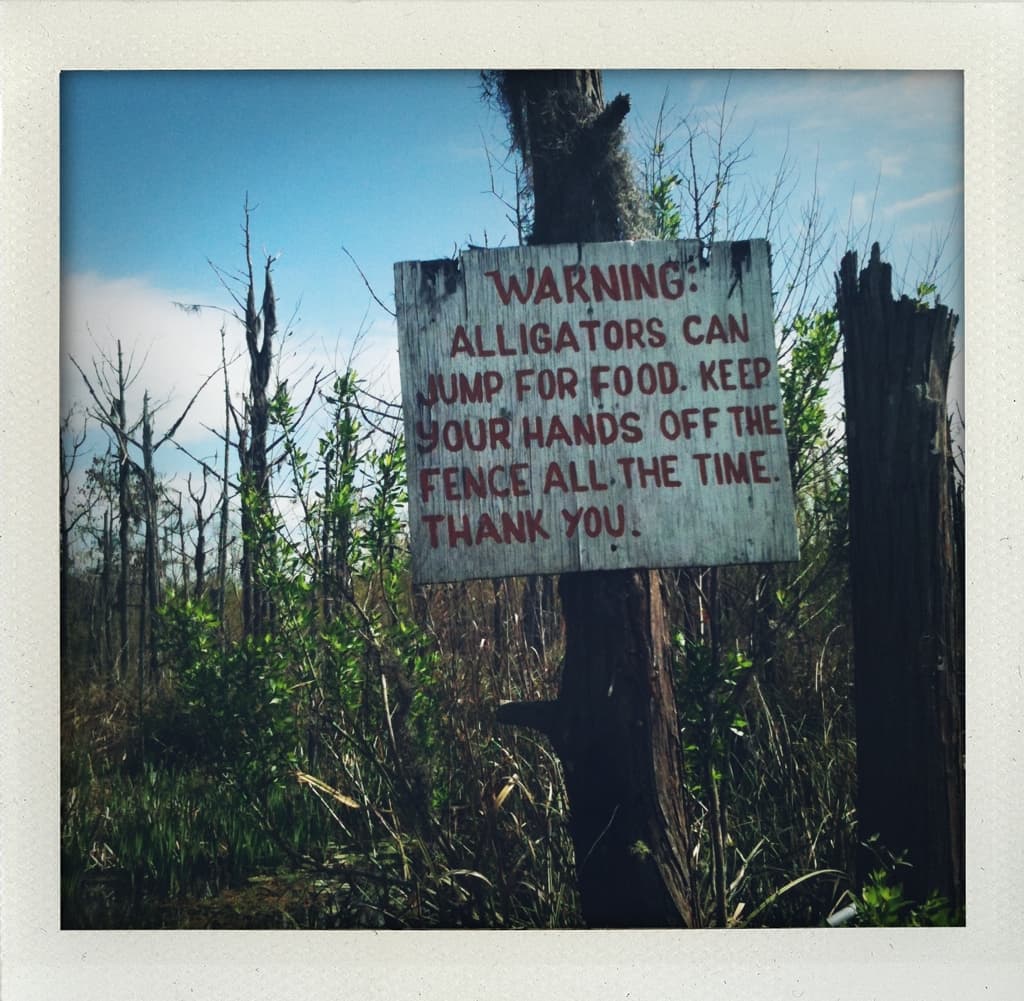 Gator Fence