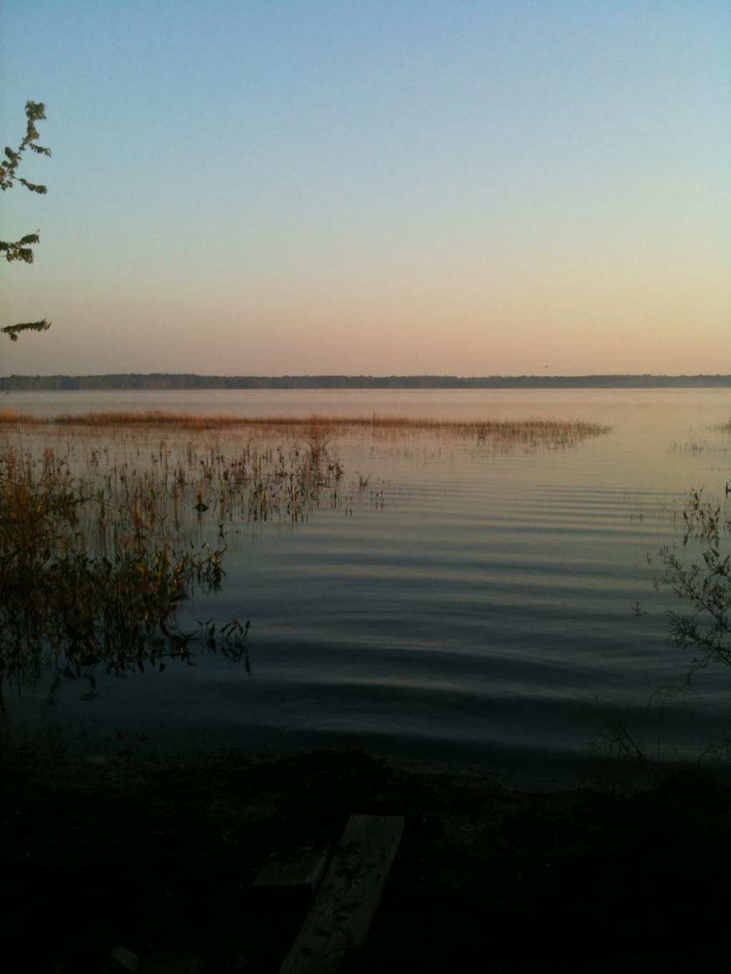 Ocean Pond