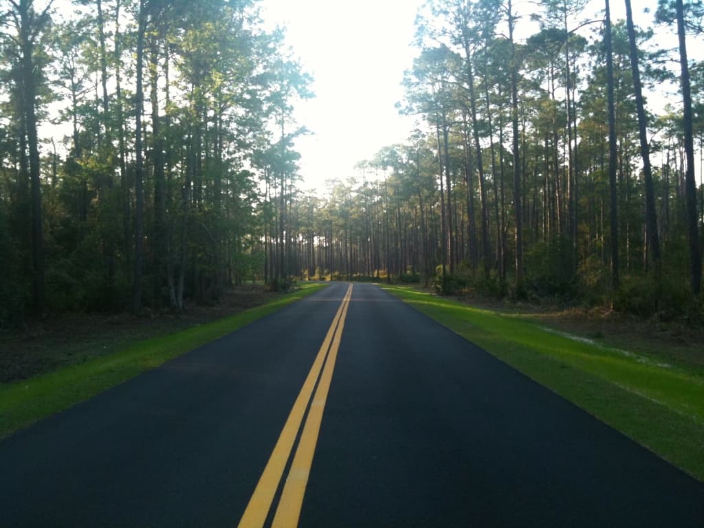 Road to Ocean Pond