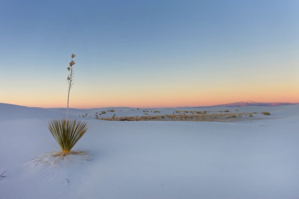 White Sands National Monument
