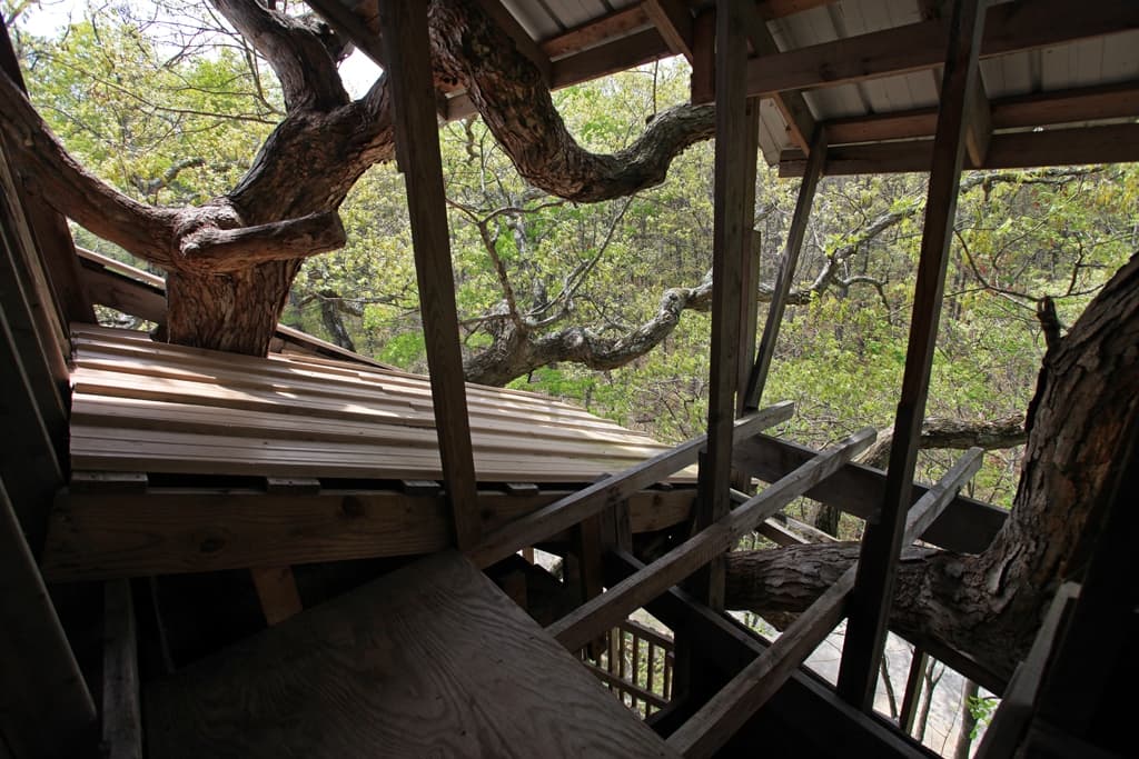 Tree Structure