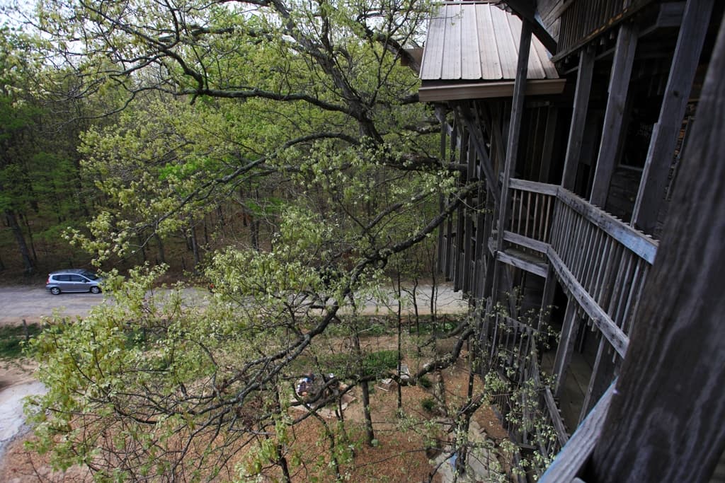Inside Outside Tree