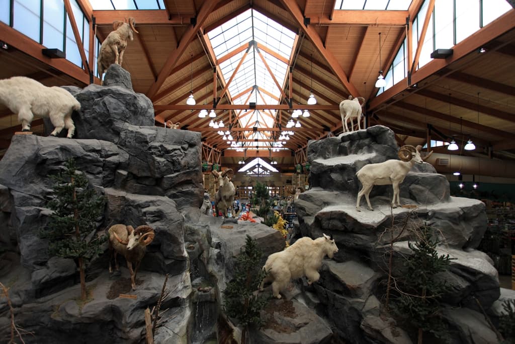 Cabela's Goat Mountain Top