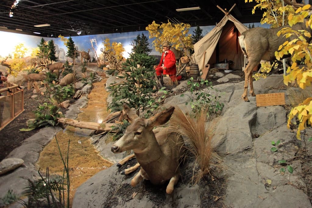 Cabela's Animatronic Hunter