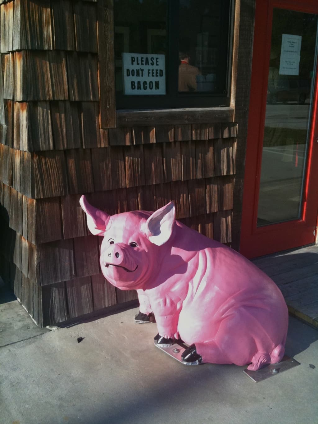 BBQ pig