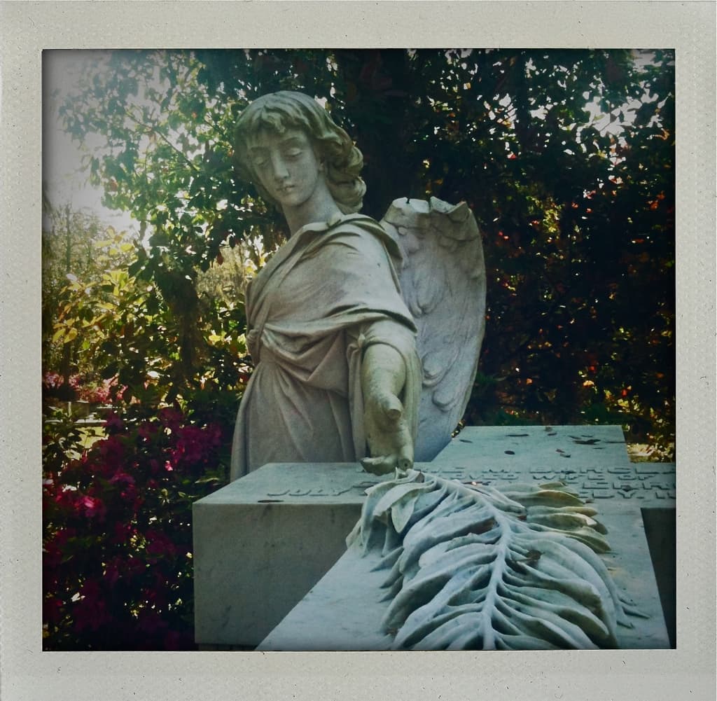Bonaventure Angel