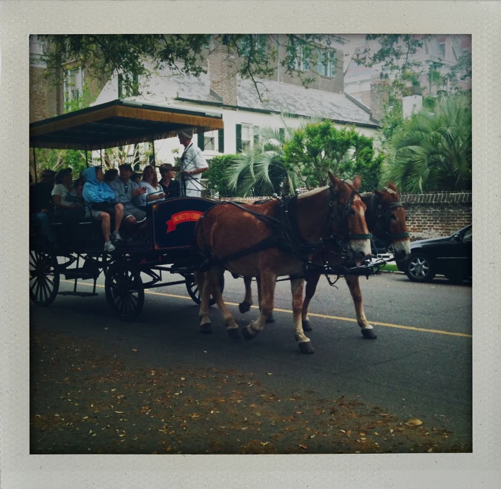 Carriage Tour