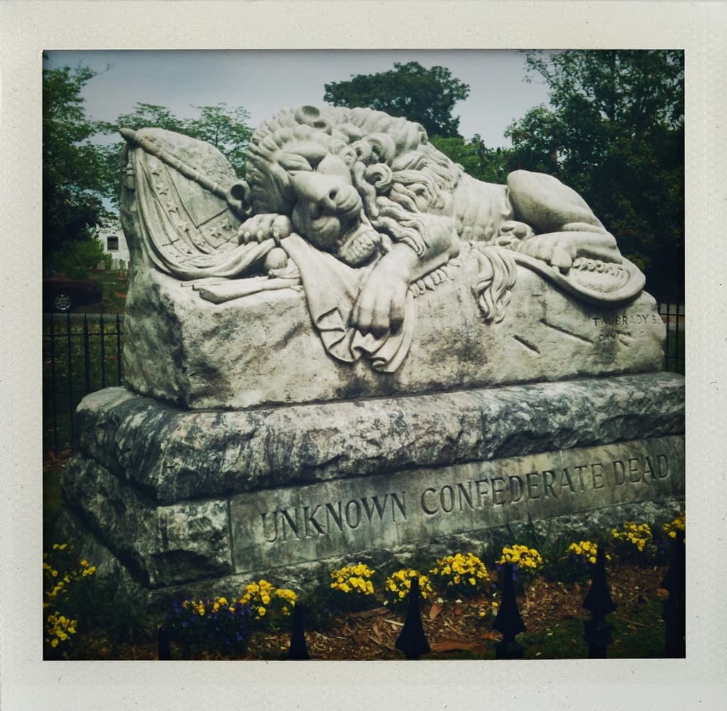 Confederate Lion