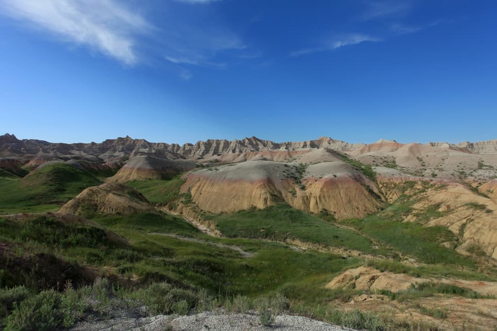 Desert with Grass