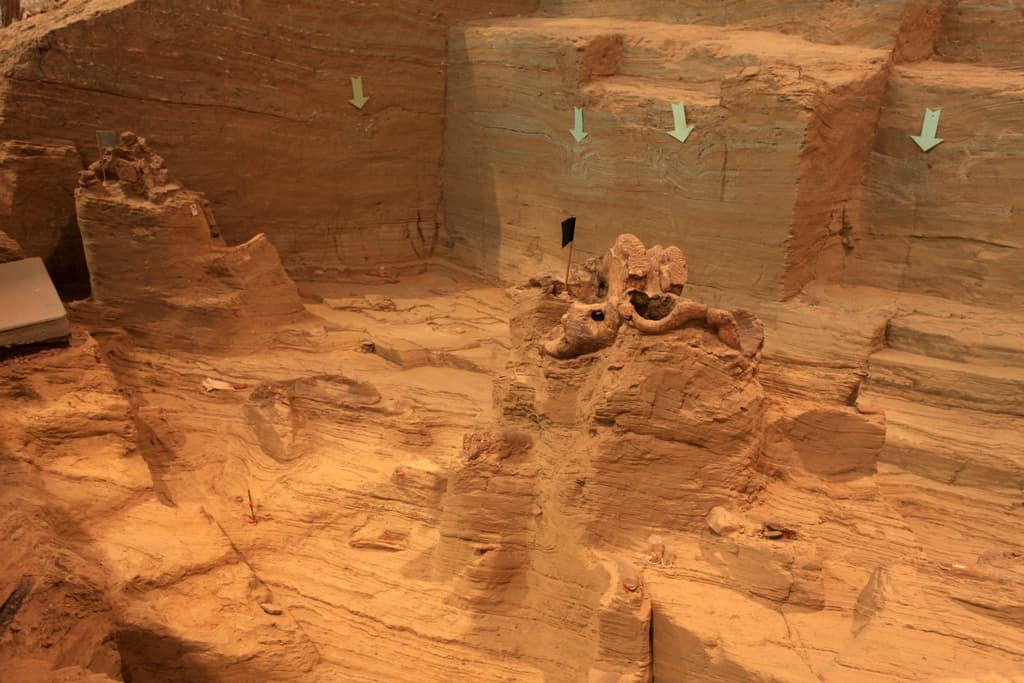 Mammoth Footprints