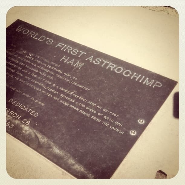 Ham the Astrochimp