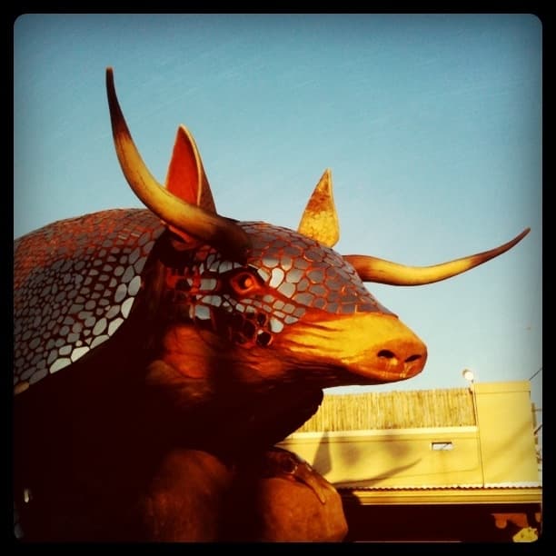 Longhorn Armadillo
