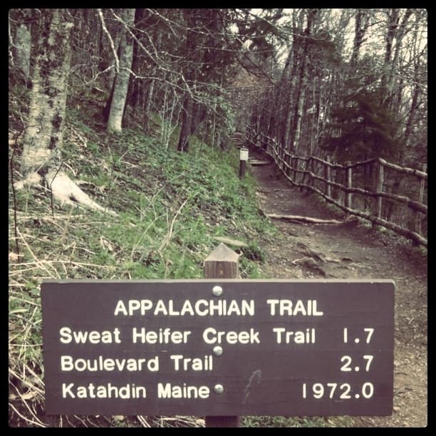 The Appalachian Trail