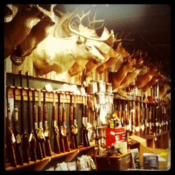 The Ham and Gun Store