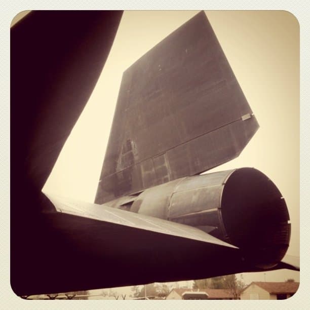 Blackbird Tail