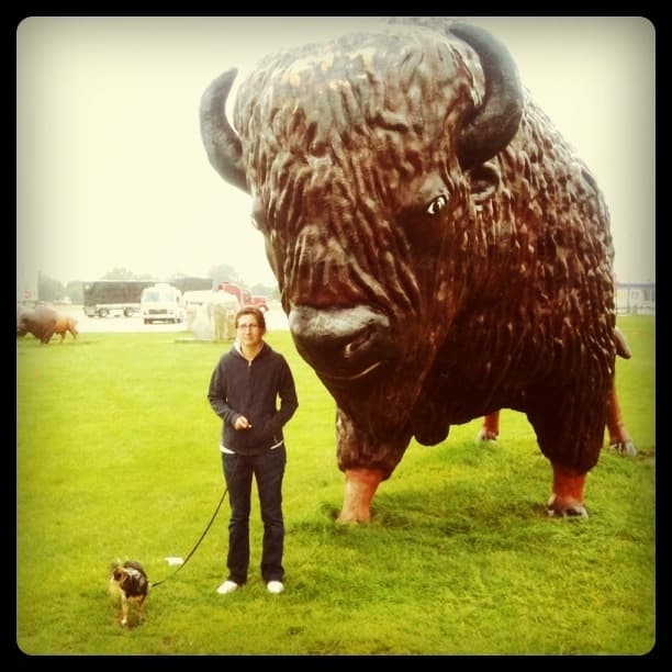 Hey Big Buffalo!