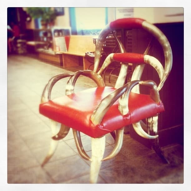 Bison Horn Chair