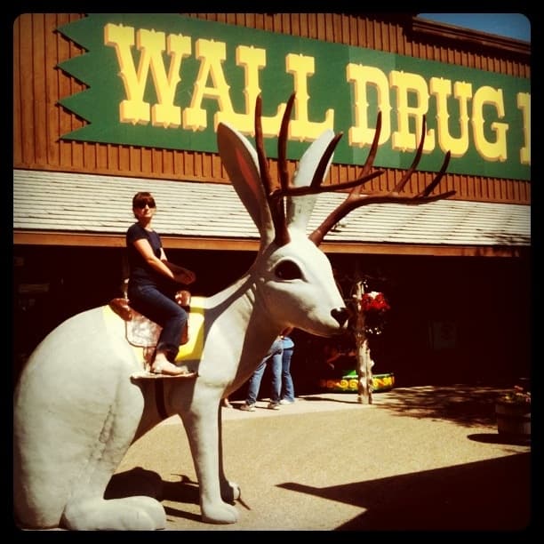 Giant Jackalope!