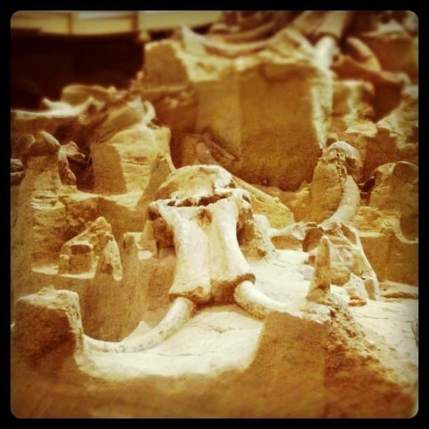 Mammoth