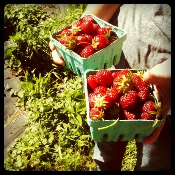 Strawbs!