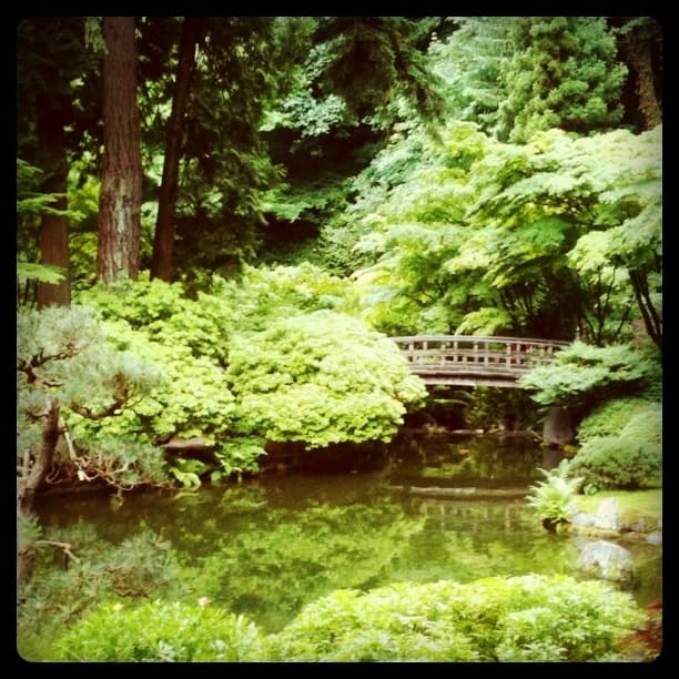 Bridge