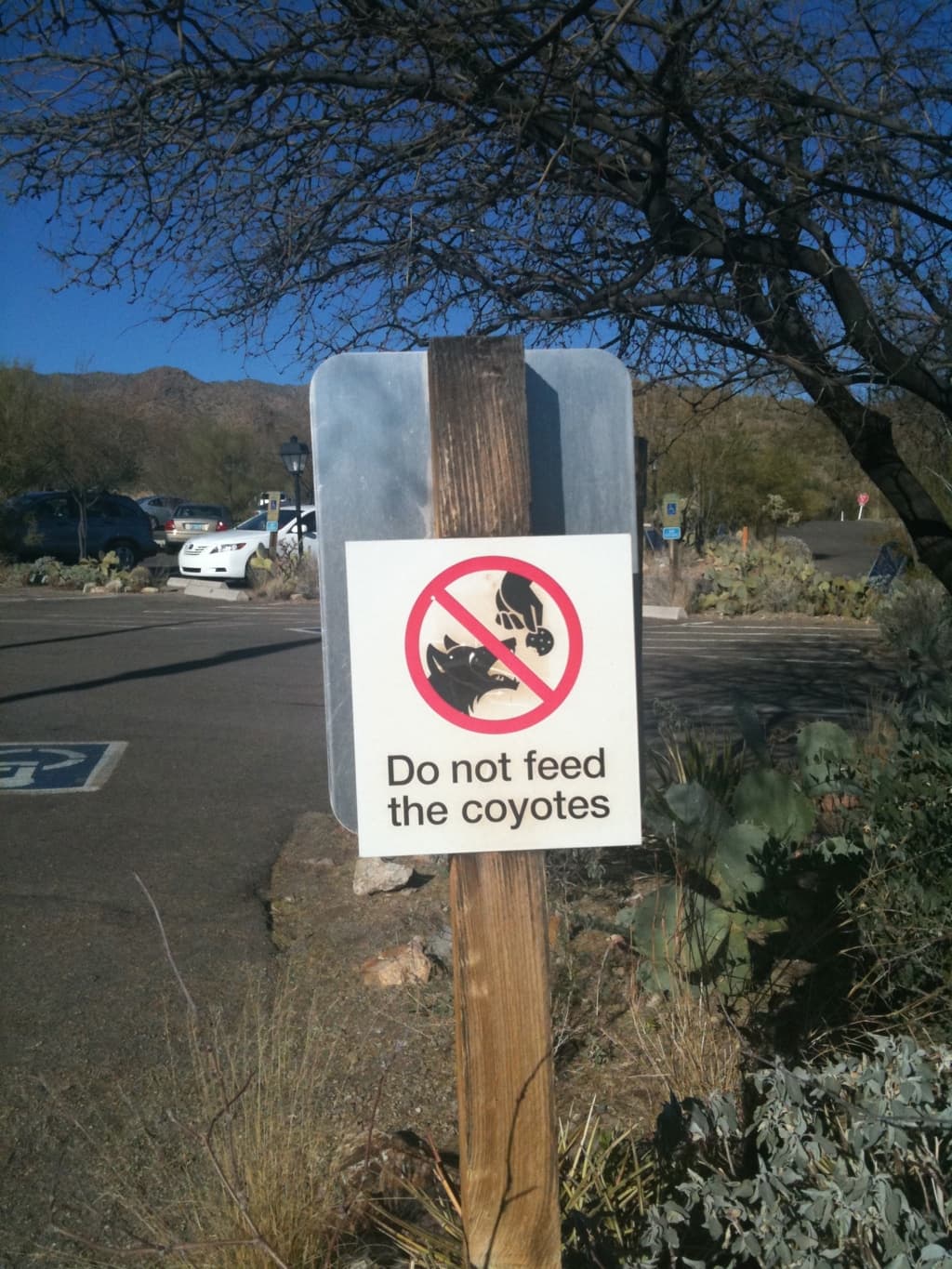 don't feed the coyotes