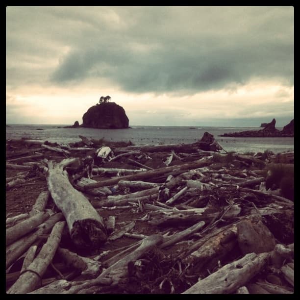 First Beach