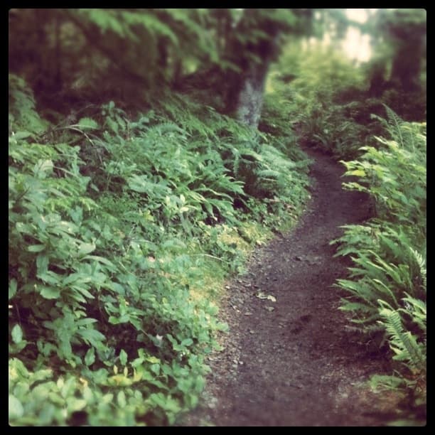 Trail to Third Beach