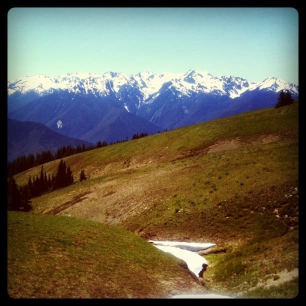 Hurricane Ridge