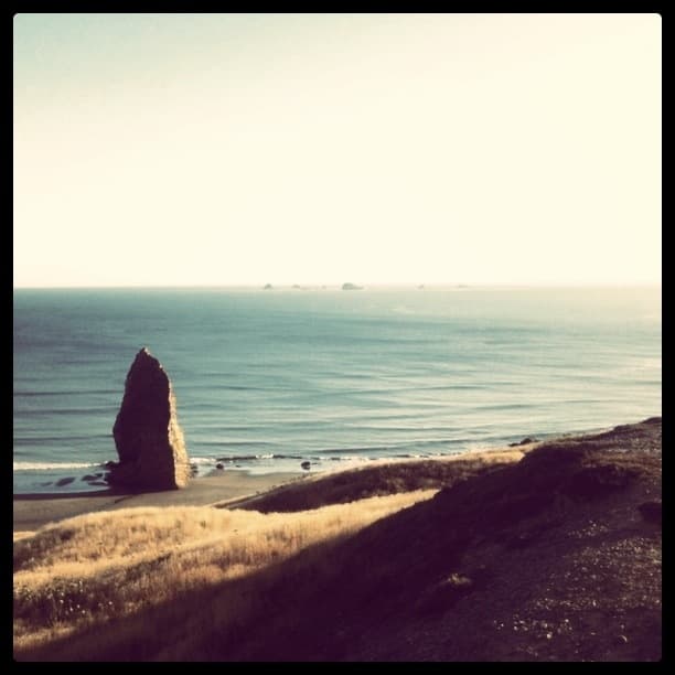Pokey Coastline