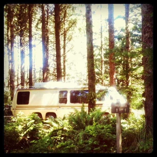 Hidin Out in the Woods