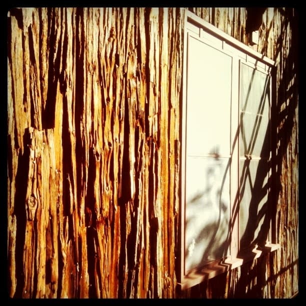 Bark