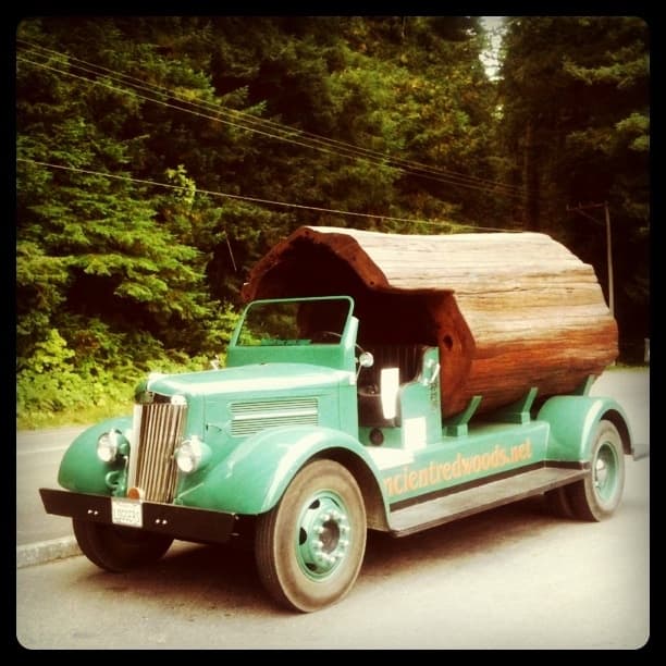 Log RV