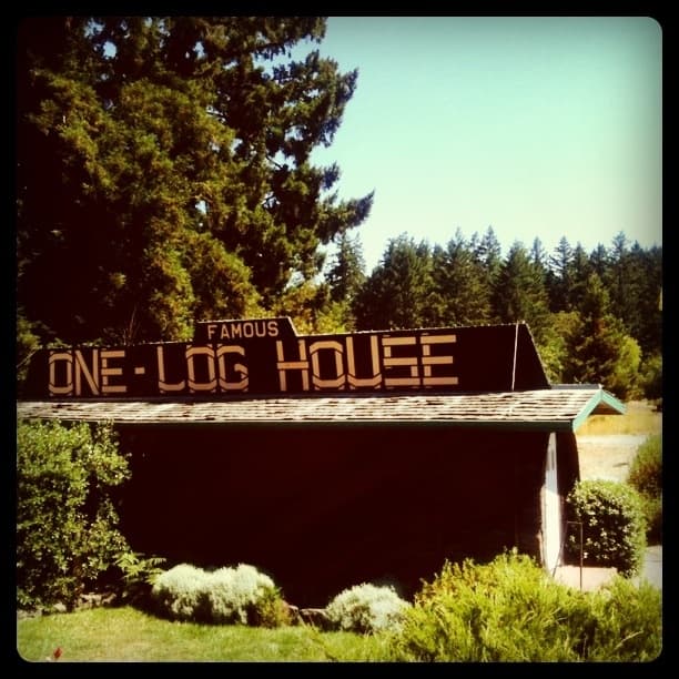 One Log House