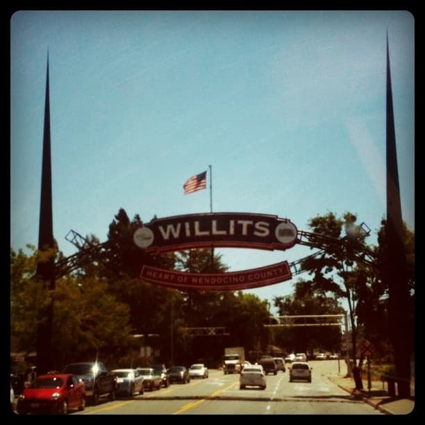 Welcome To WIllits