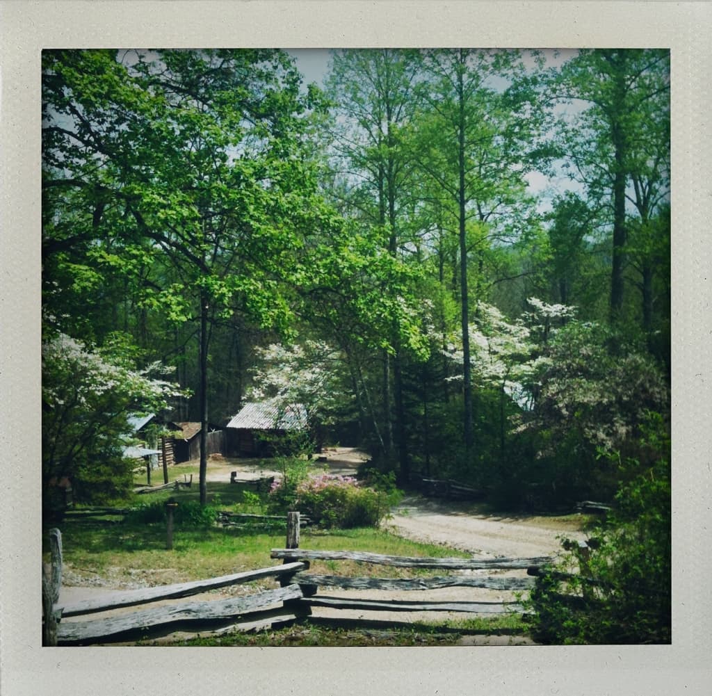 Foxfire Museum