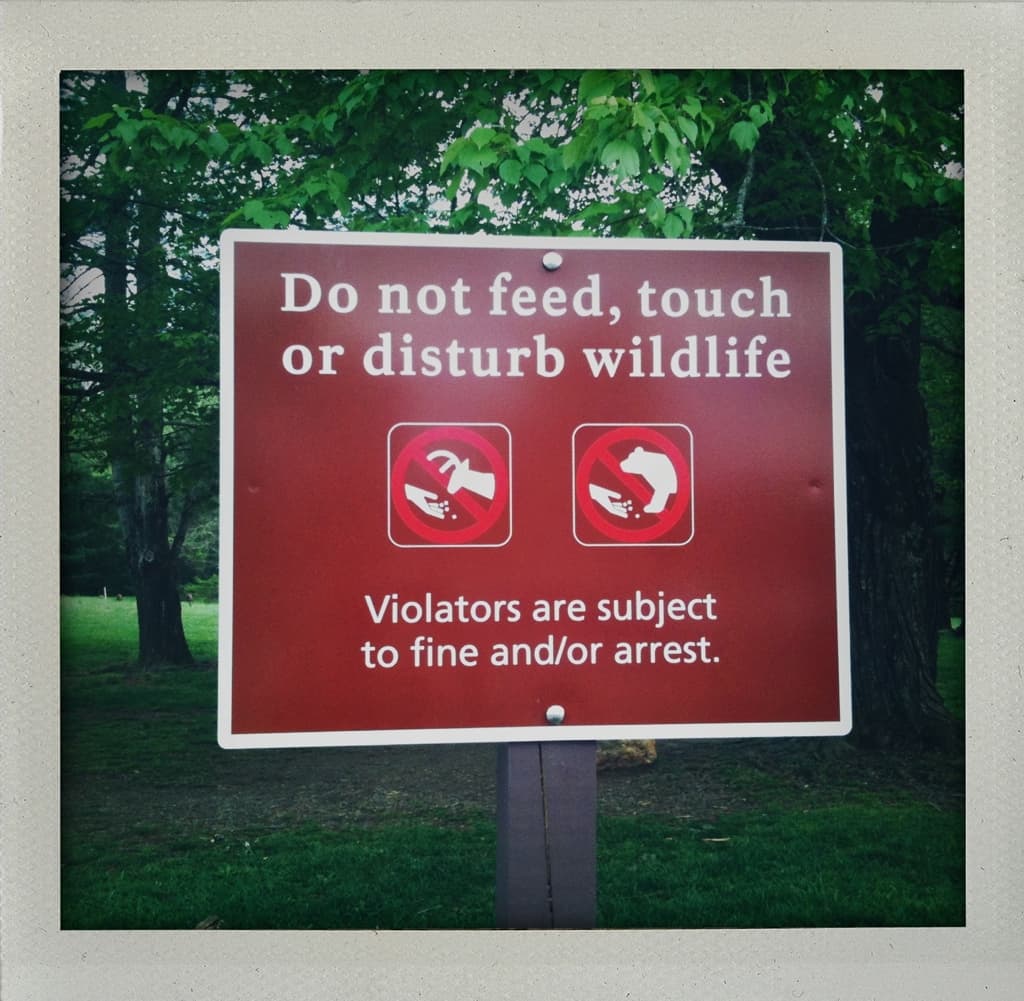 No nuts