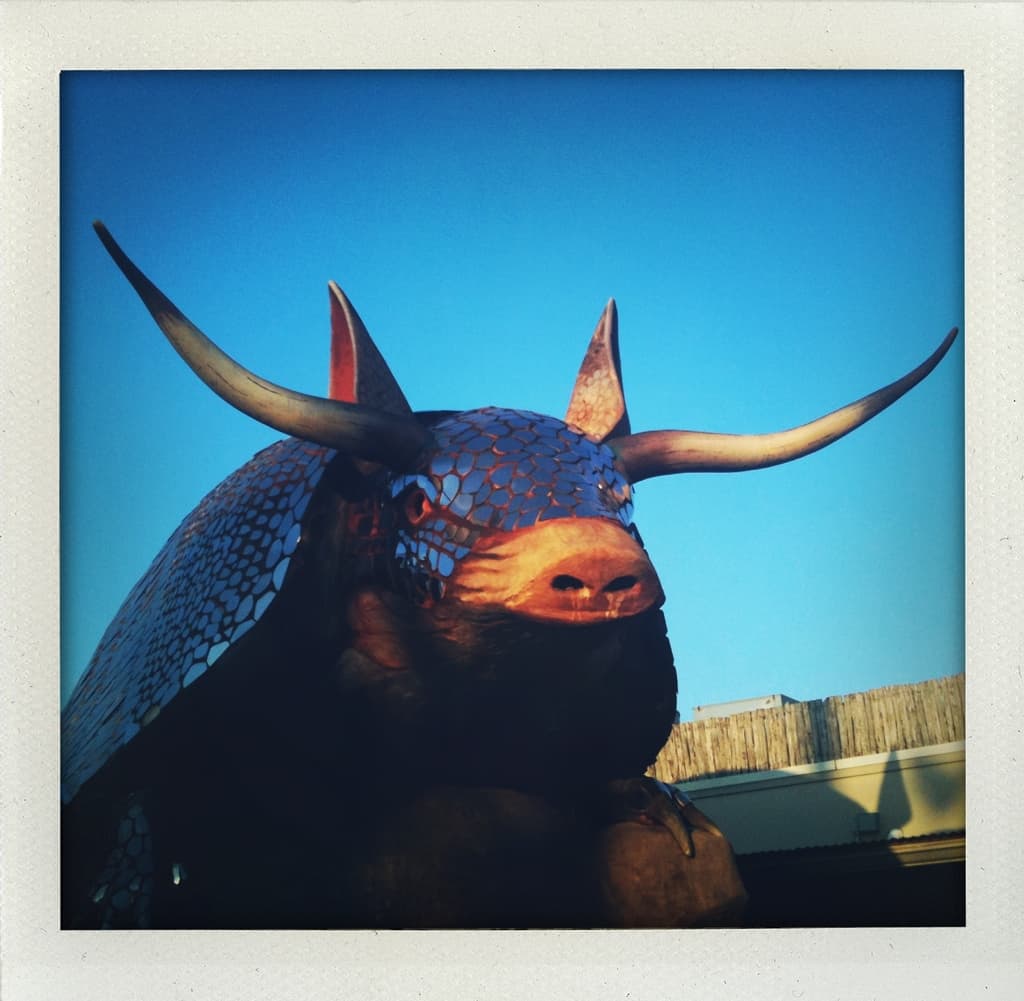 longhorn armadillo